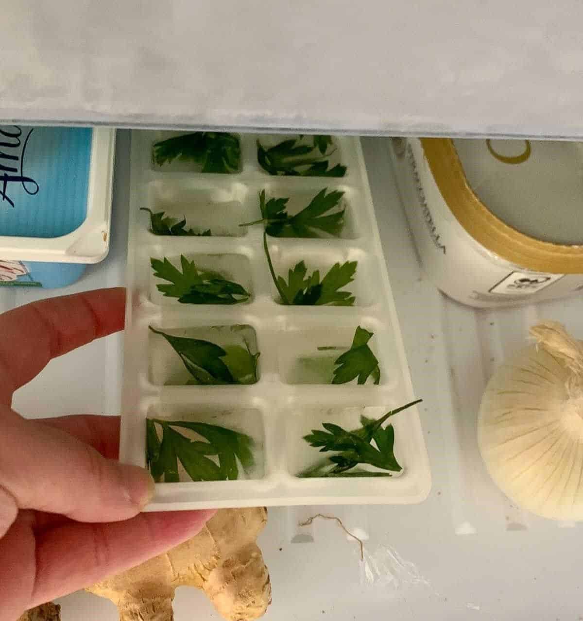 Freeze Chopped Herbs