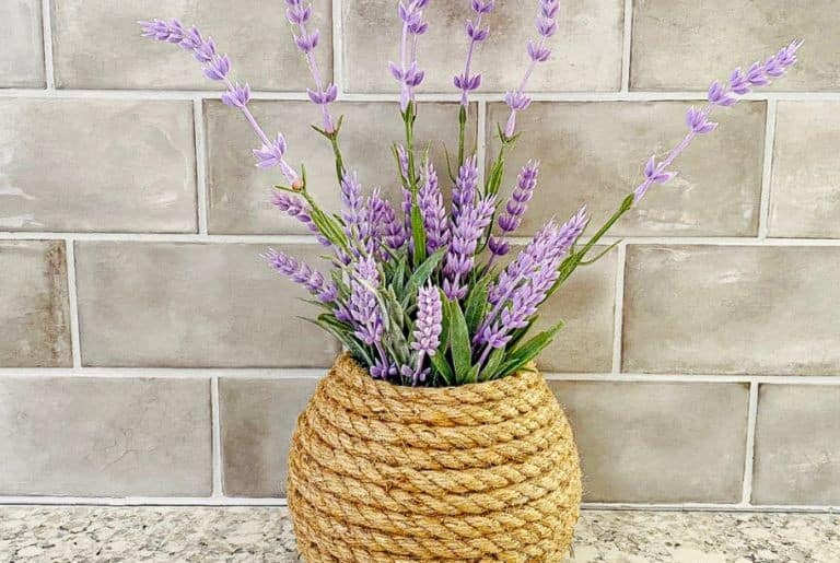 DIY Dollar Tree Rope Vase