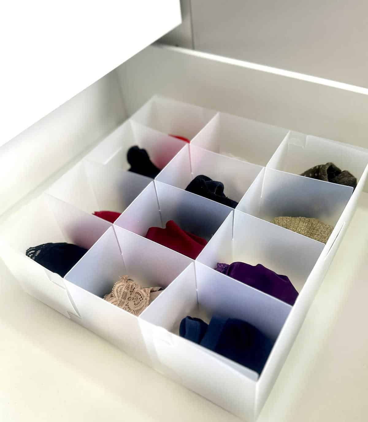 Use a Plastic Compartment Box for Underwear