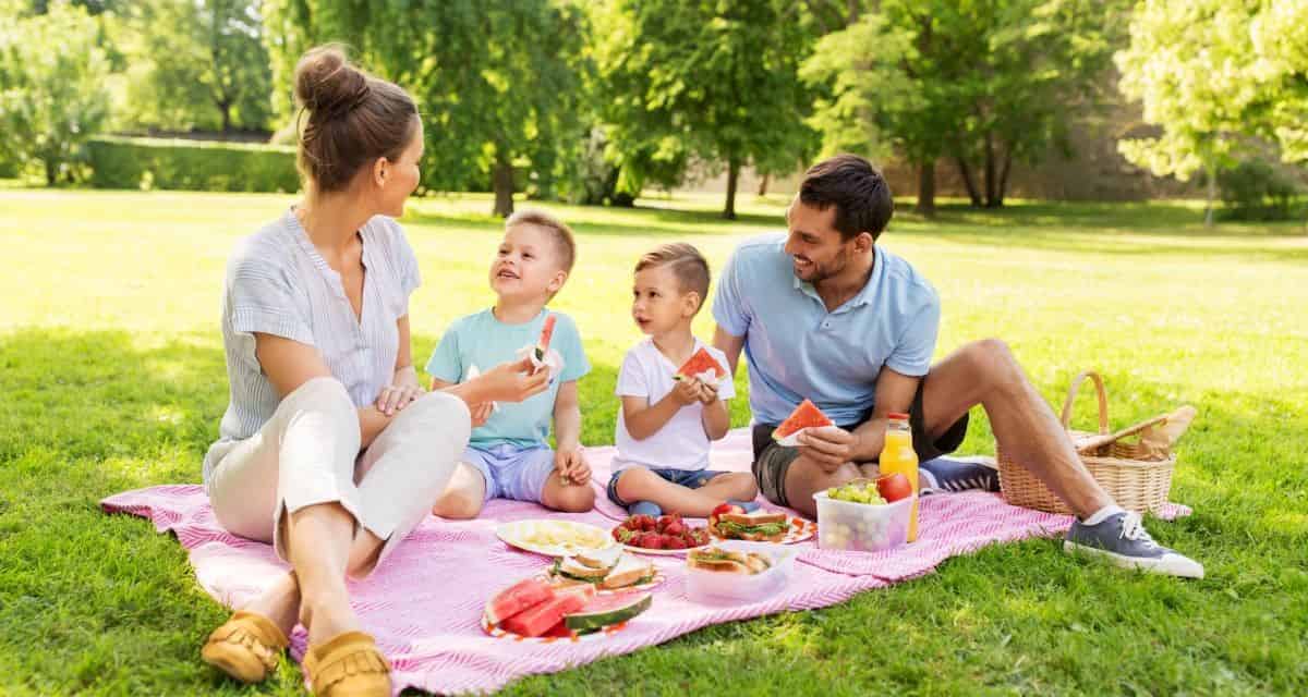 Have a Picnic