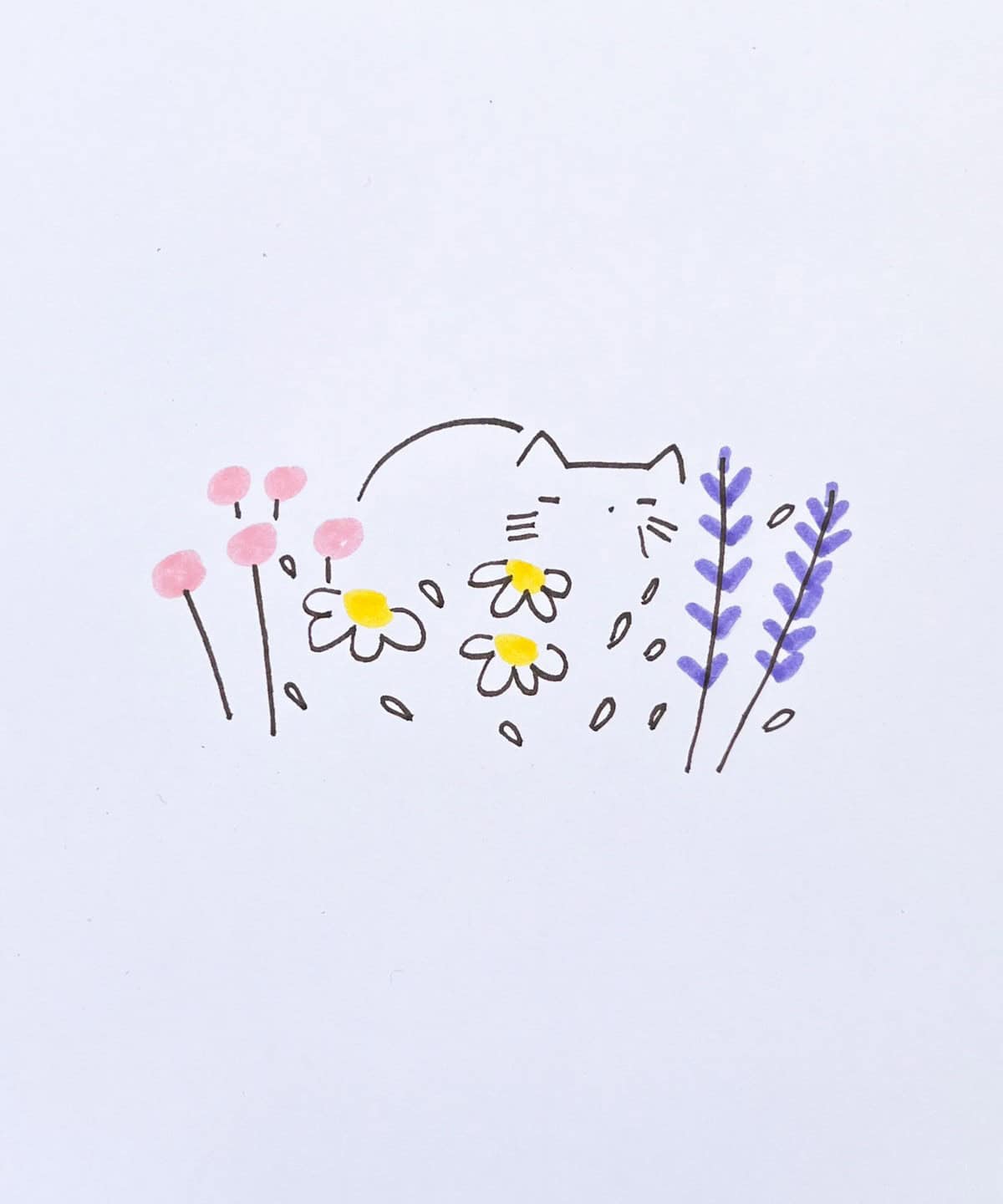 Cat in Flower Field