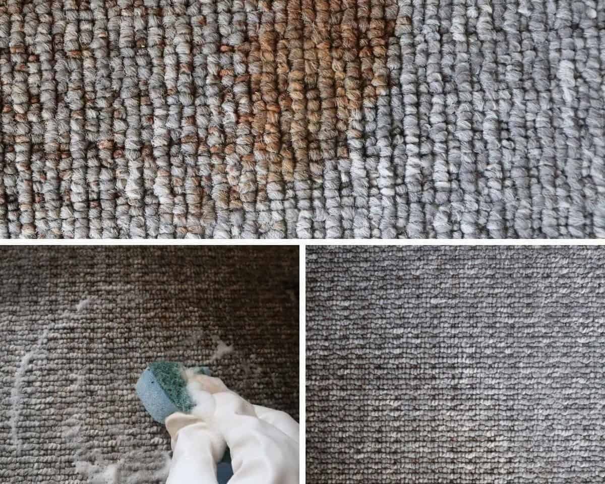 Remove Carpet Stains