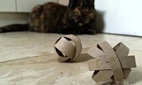 Cat Toy