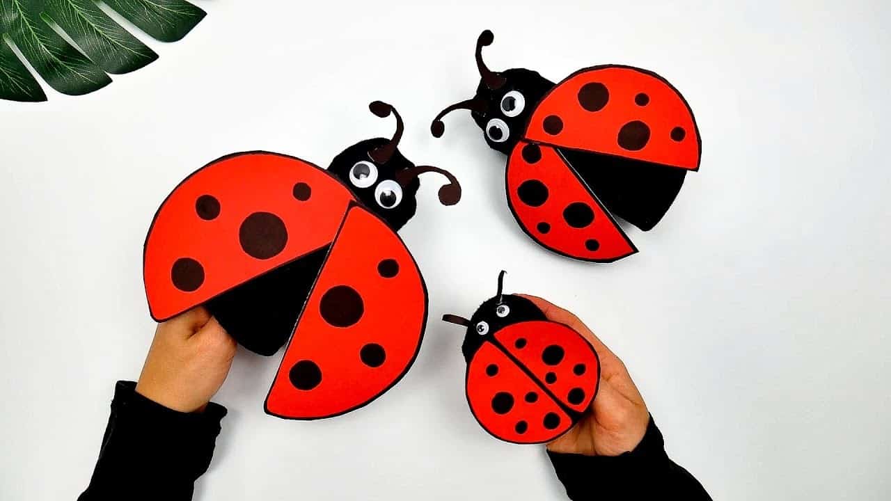 Watch: DIY Ladybug