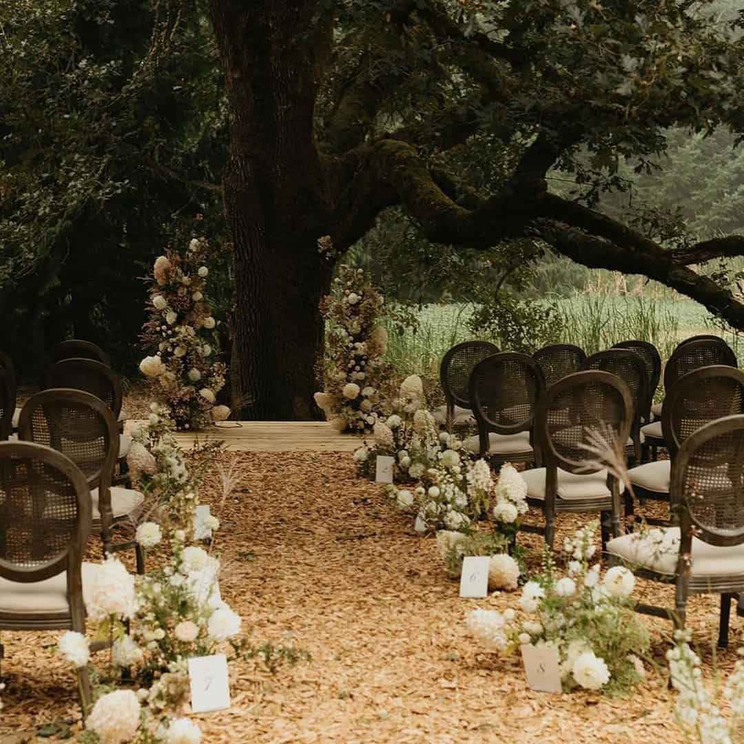 Wedding Ceremony Under The Tree