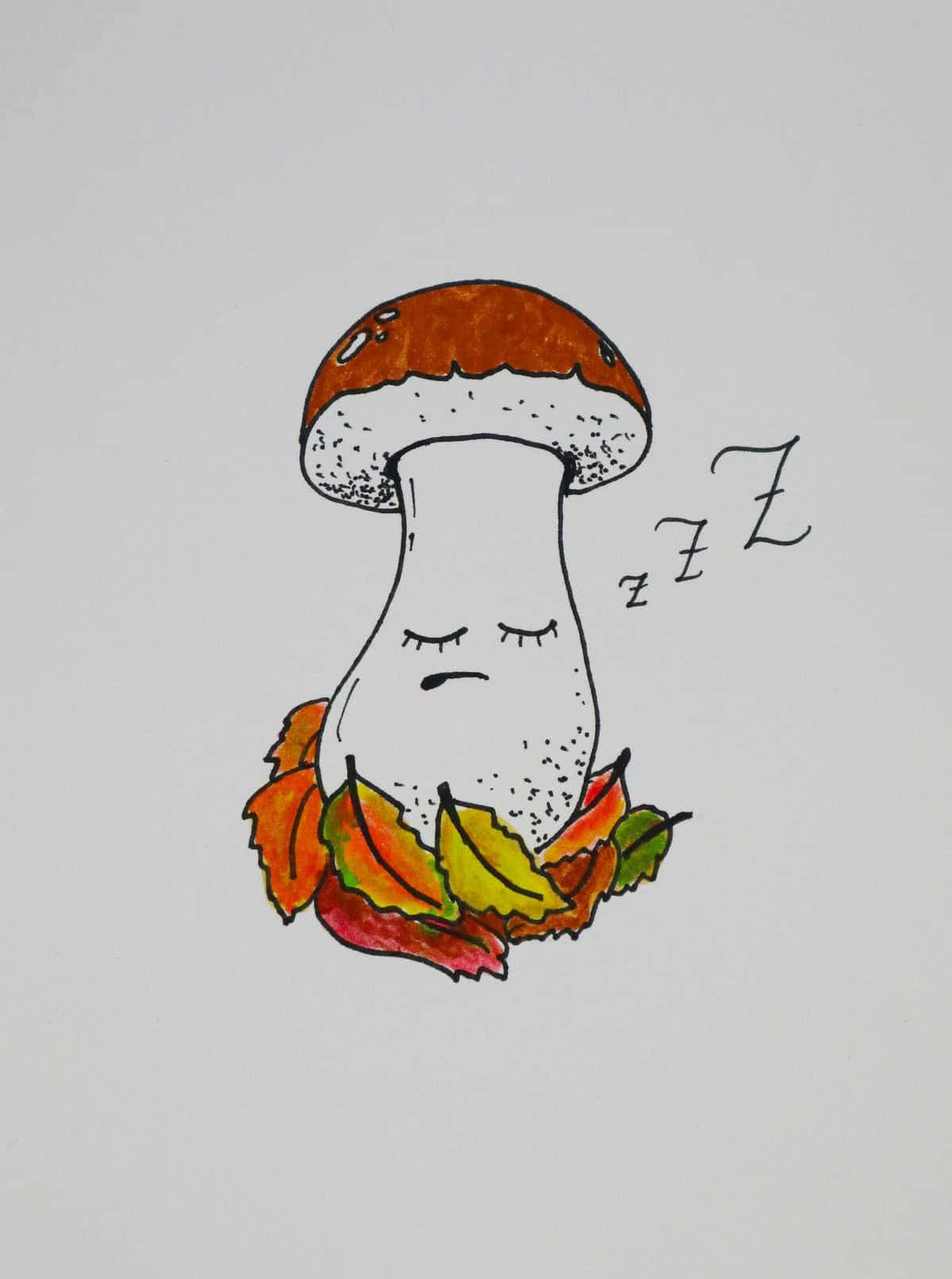 Sleeping Mushroom