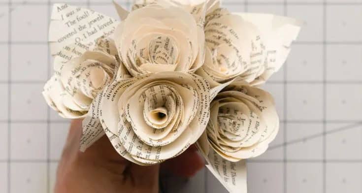 Paper Roses