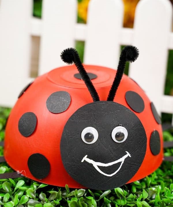 Upcycled Ladybug Bowl