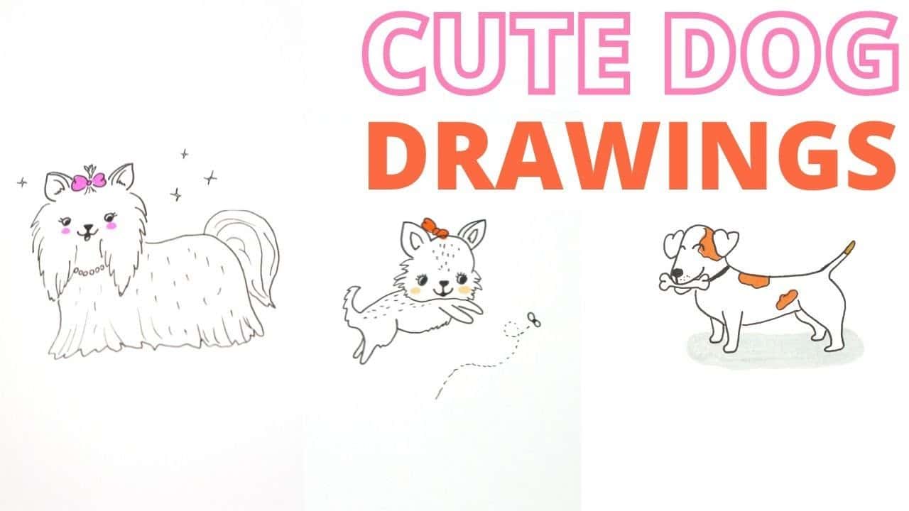 21 Easy Dog Drawing Ideas