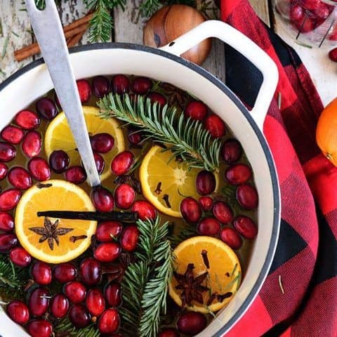 CHRISTMAS SIMMERING POT