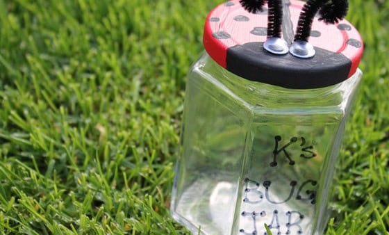 Recycled Ladybug Catcher Jar