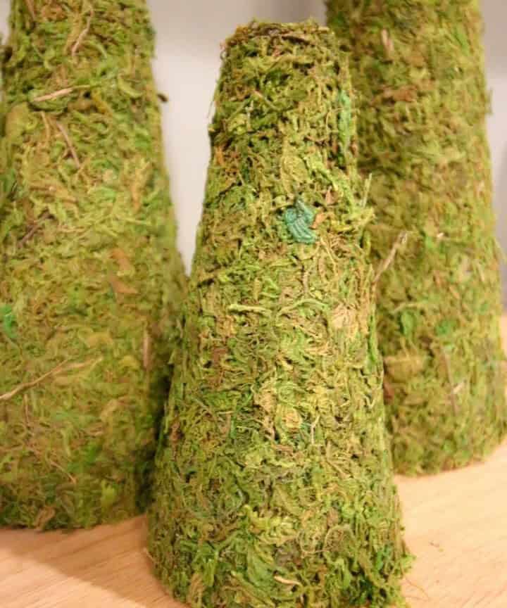 Mossy Christmas Tree