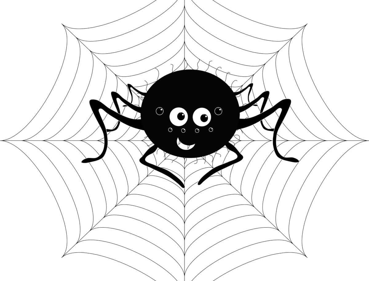 Pin the Spider on the Web