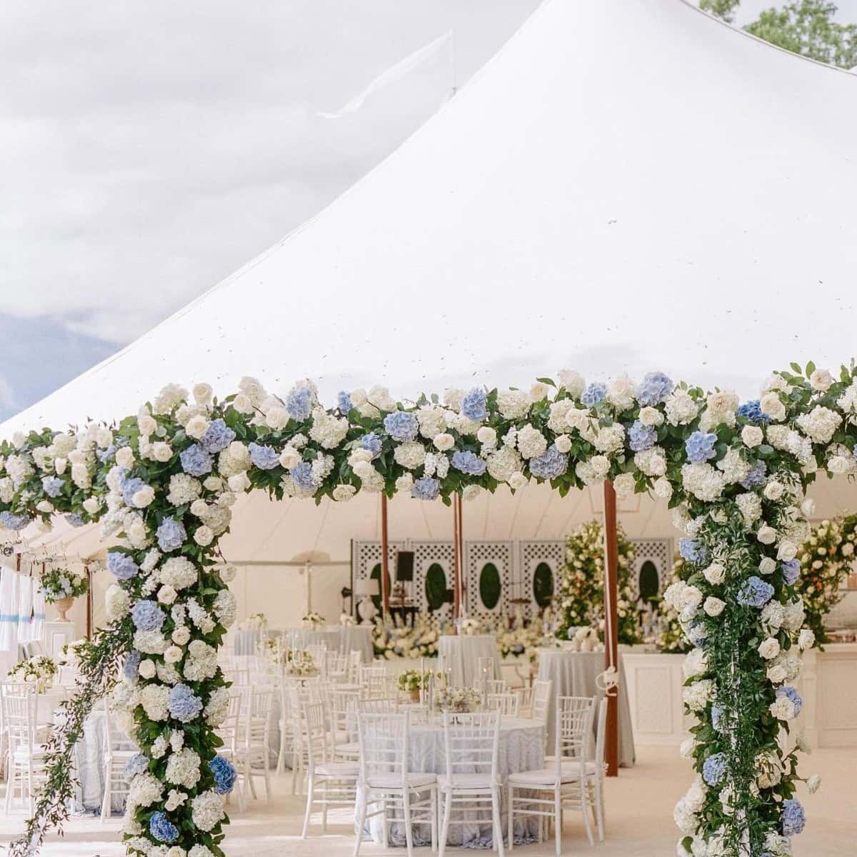 Hydrangea Marquee