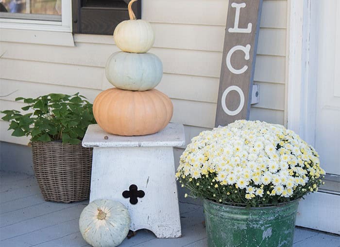 Coloured Pumpkins