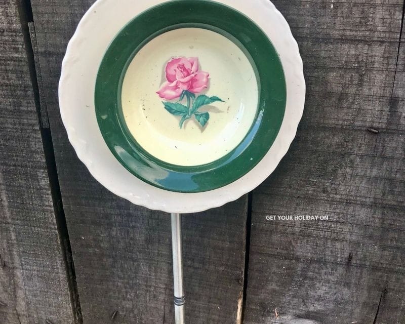 Dish Garden Flowers