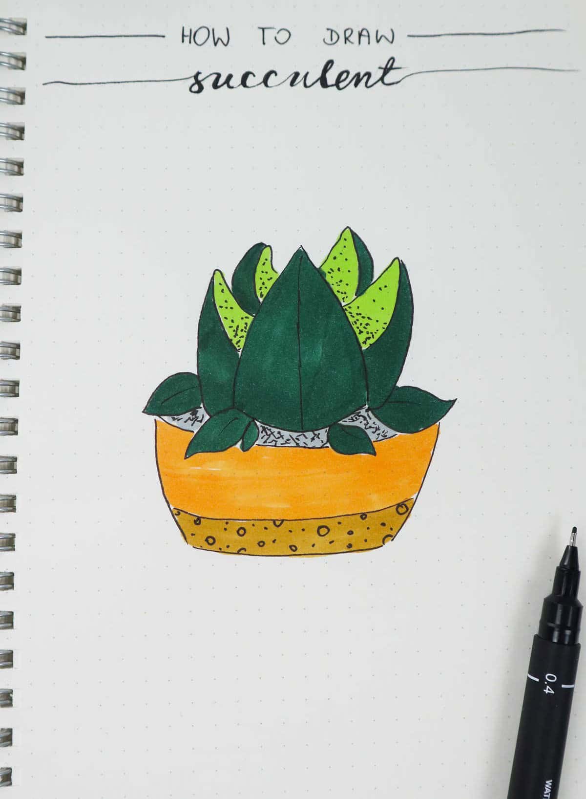 Potted Succulent