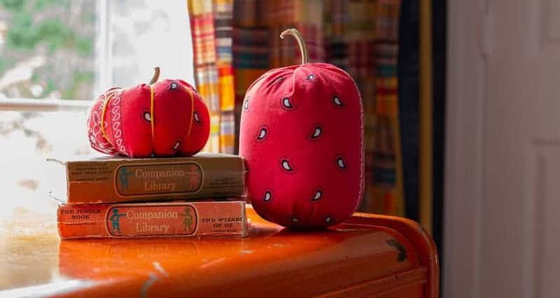 Bandana Pumpkins