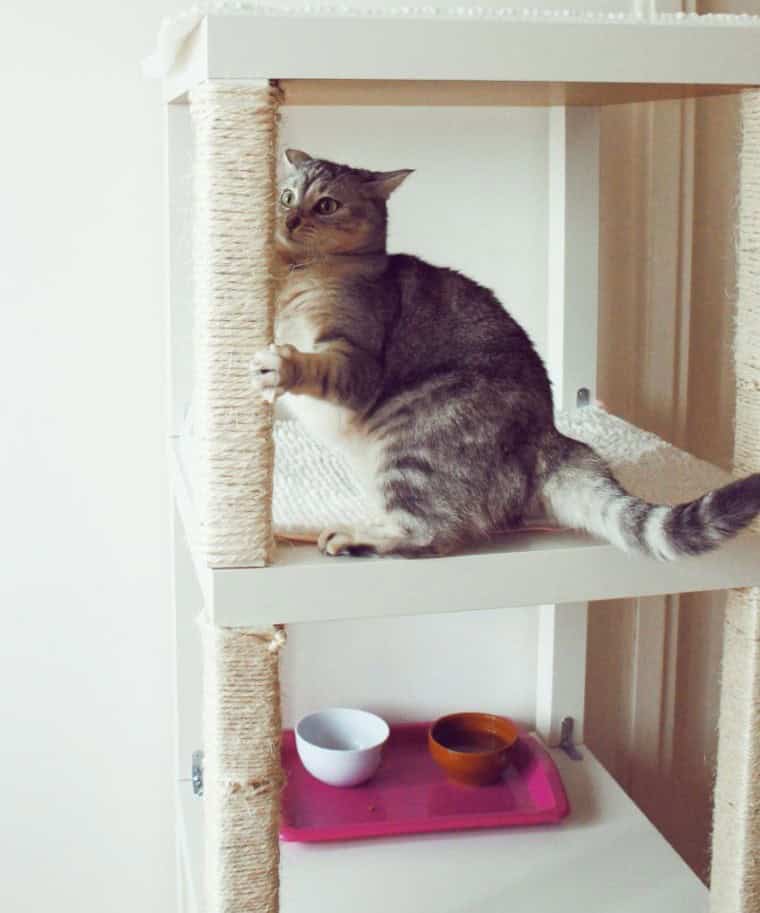 Vertical Cat Lounge