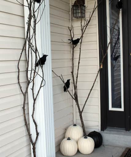 Raven-Filled Front Porch