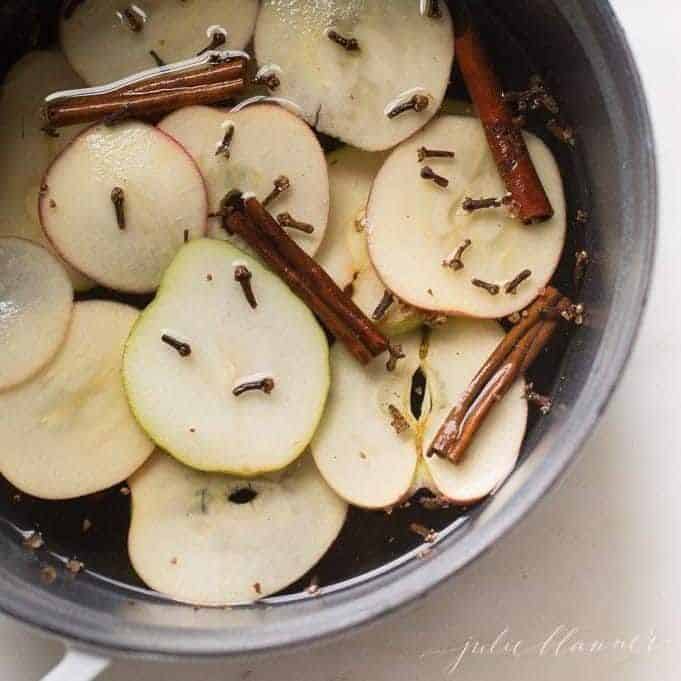 APPLE, PEAR, CINNAMON SIMMER POT