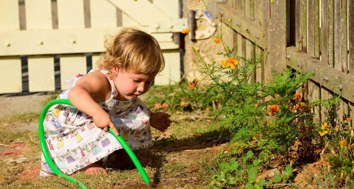 Watering the Plant