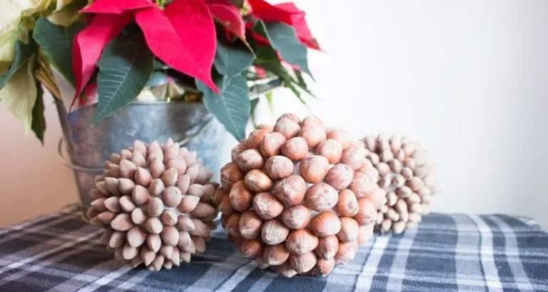 Decorative Hazelnut Ball Ornaments