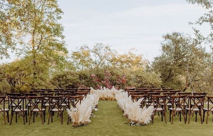 Of Feathers and Pampas Grass