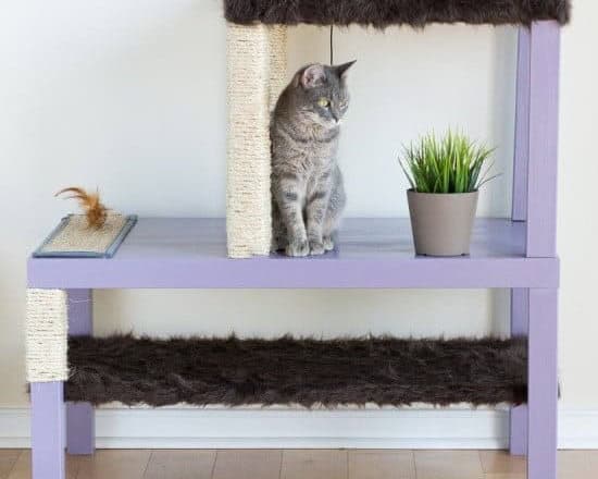 DIY Two-Level Cat Entertainment Unit