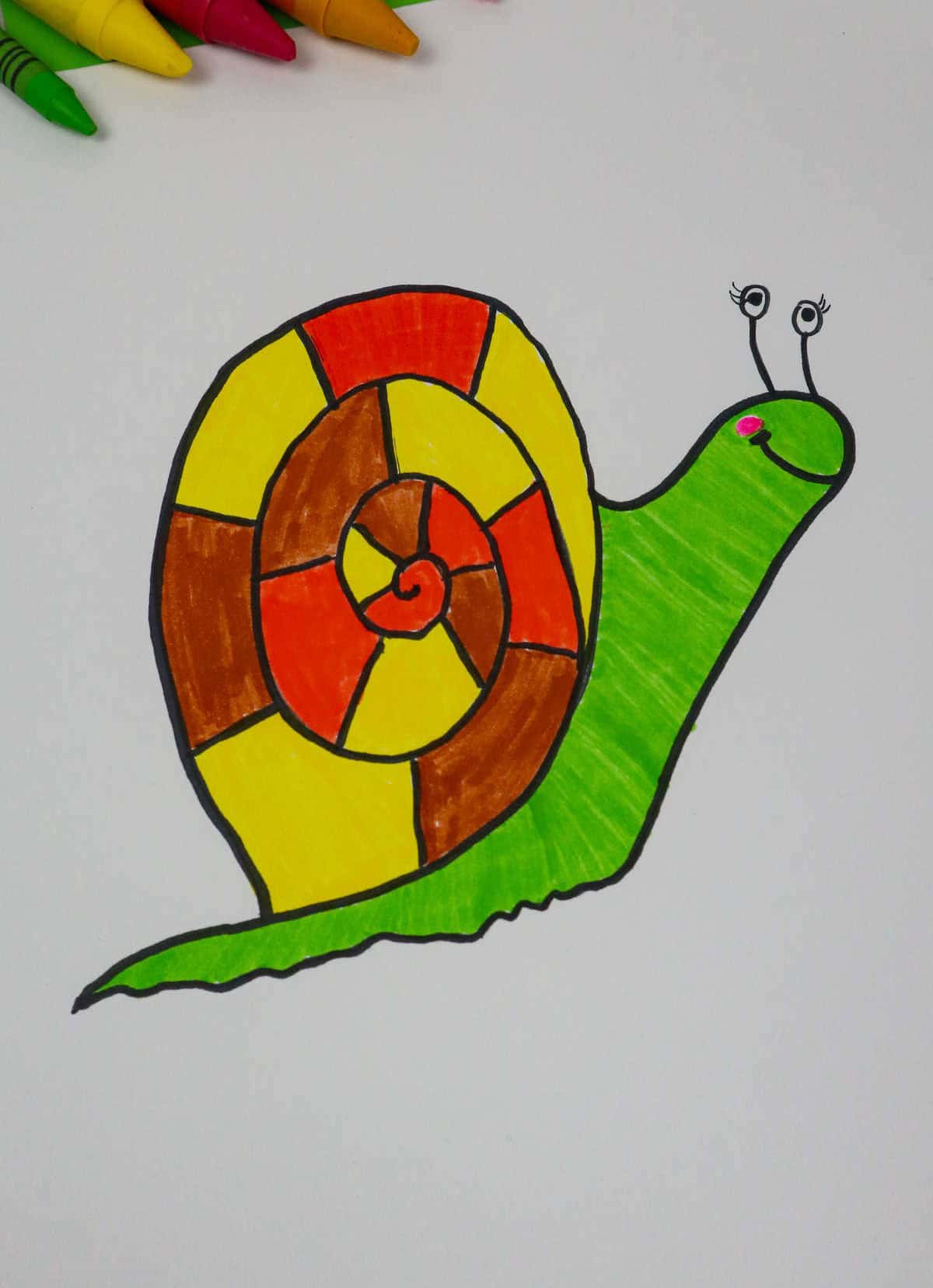 Snail