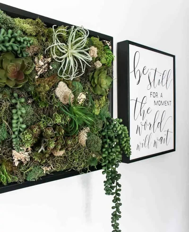 Succulent Wall Decor