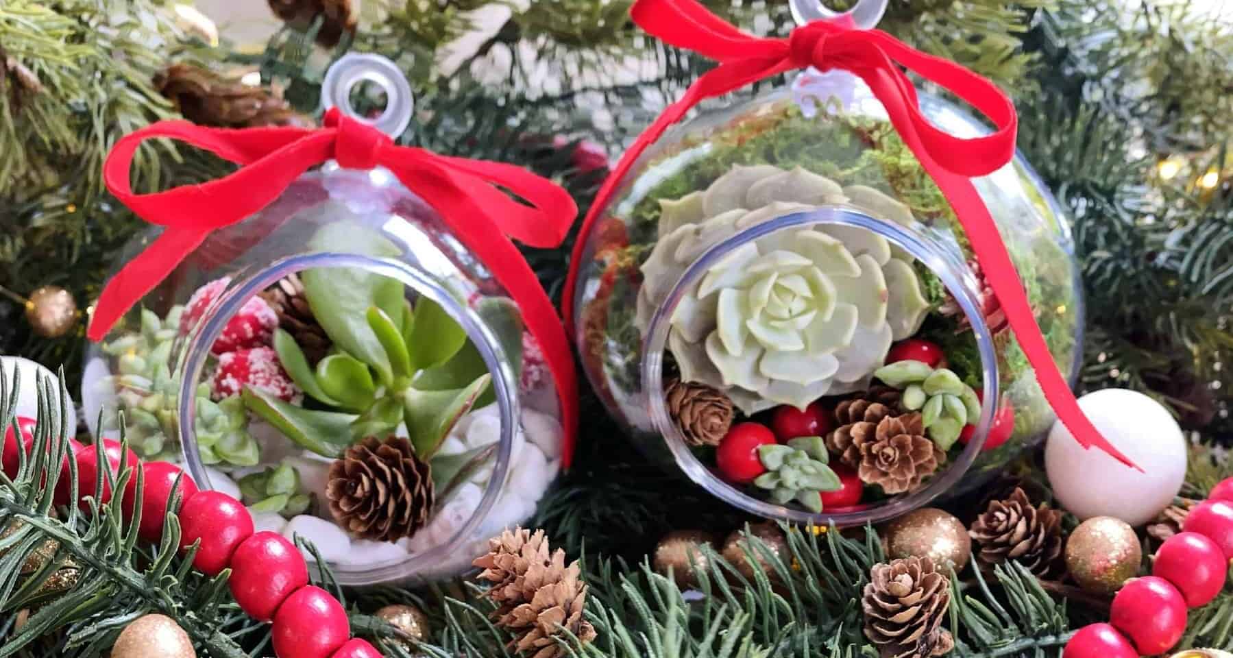 Succulent Ornament