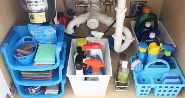 Under the Kitchen Sink Organization