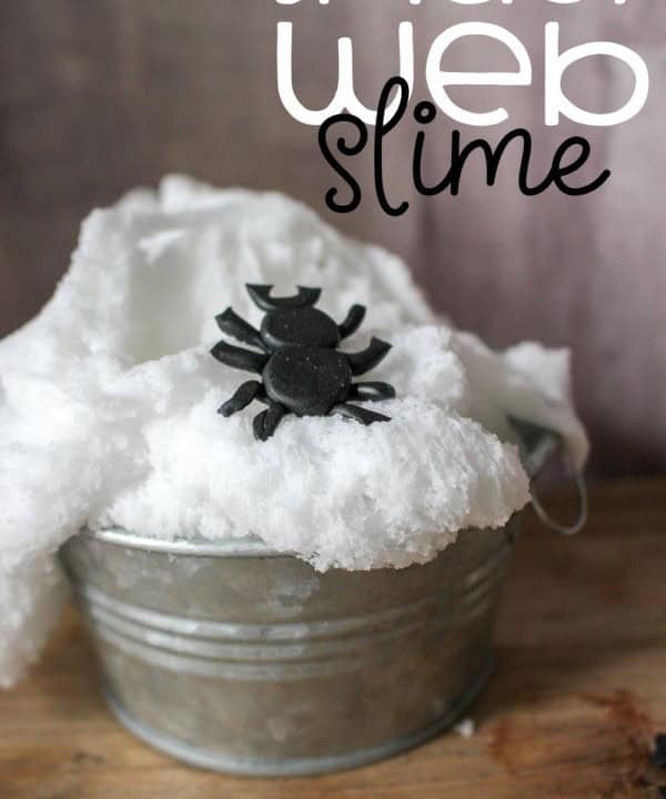 Spider Web Slime Project