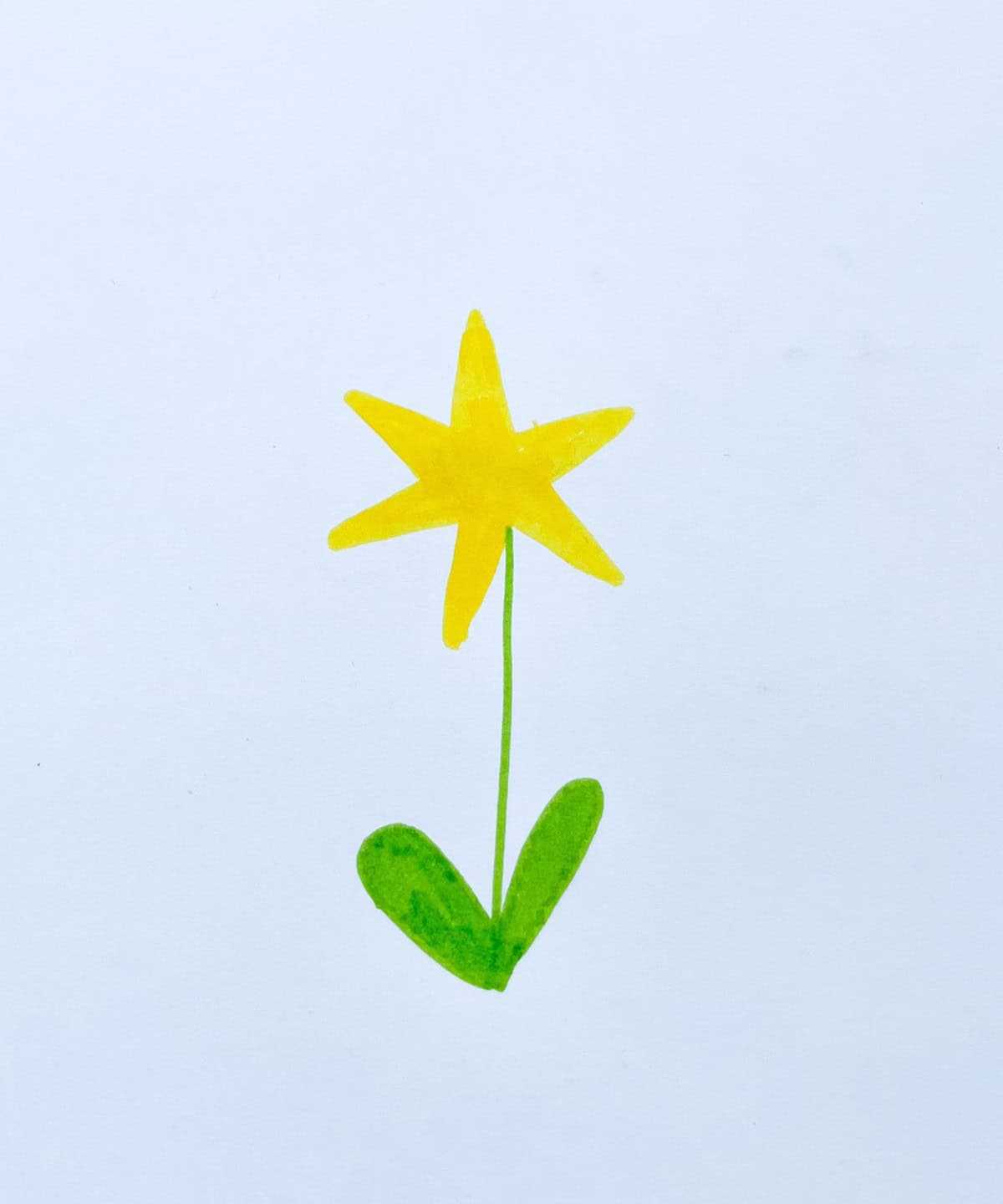 Star Flower