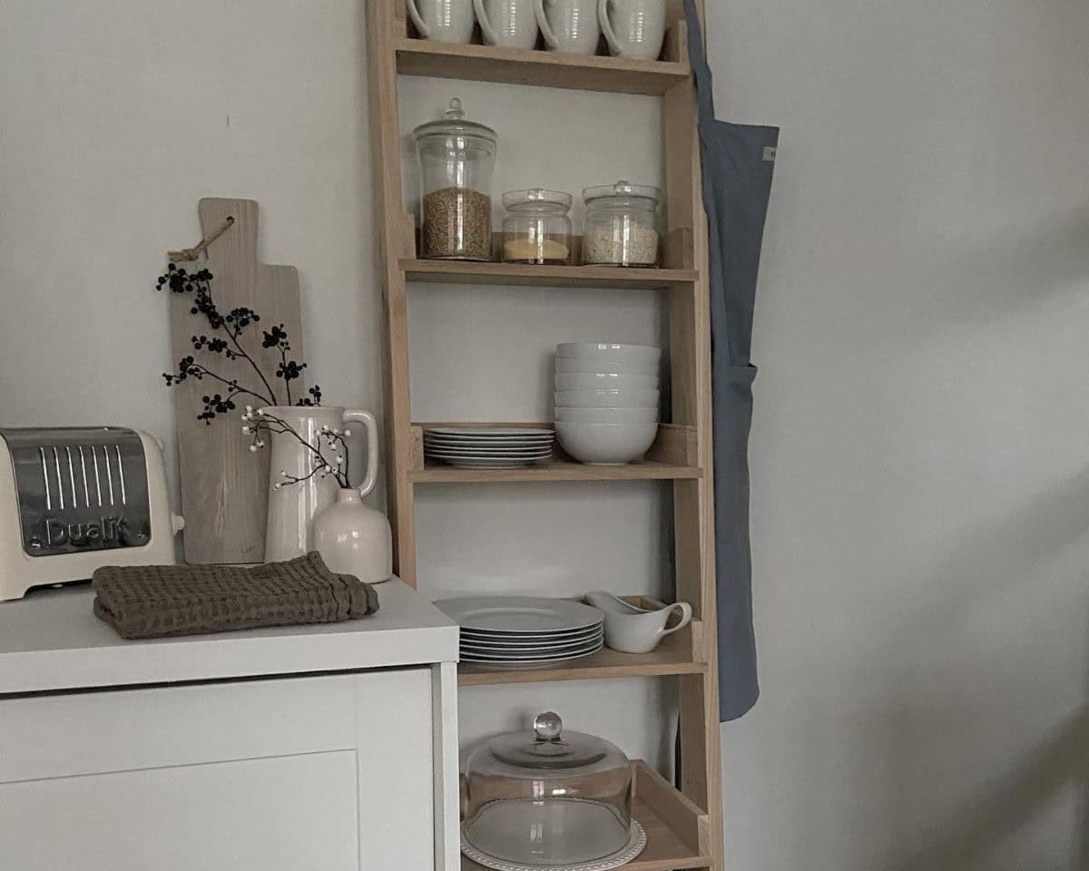 Ladder Shelf Storage