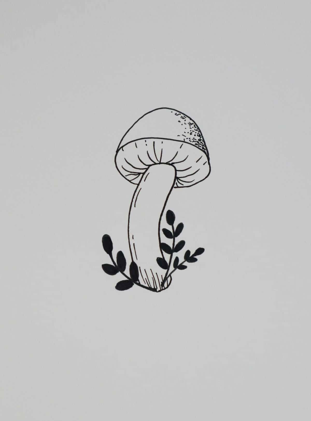 Solo Mushroom