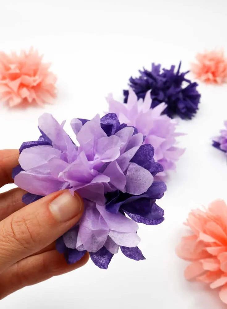 Tissue Paper Flowers