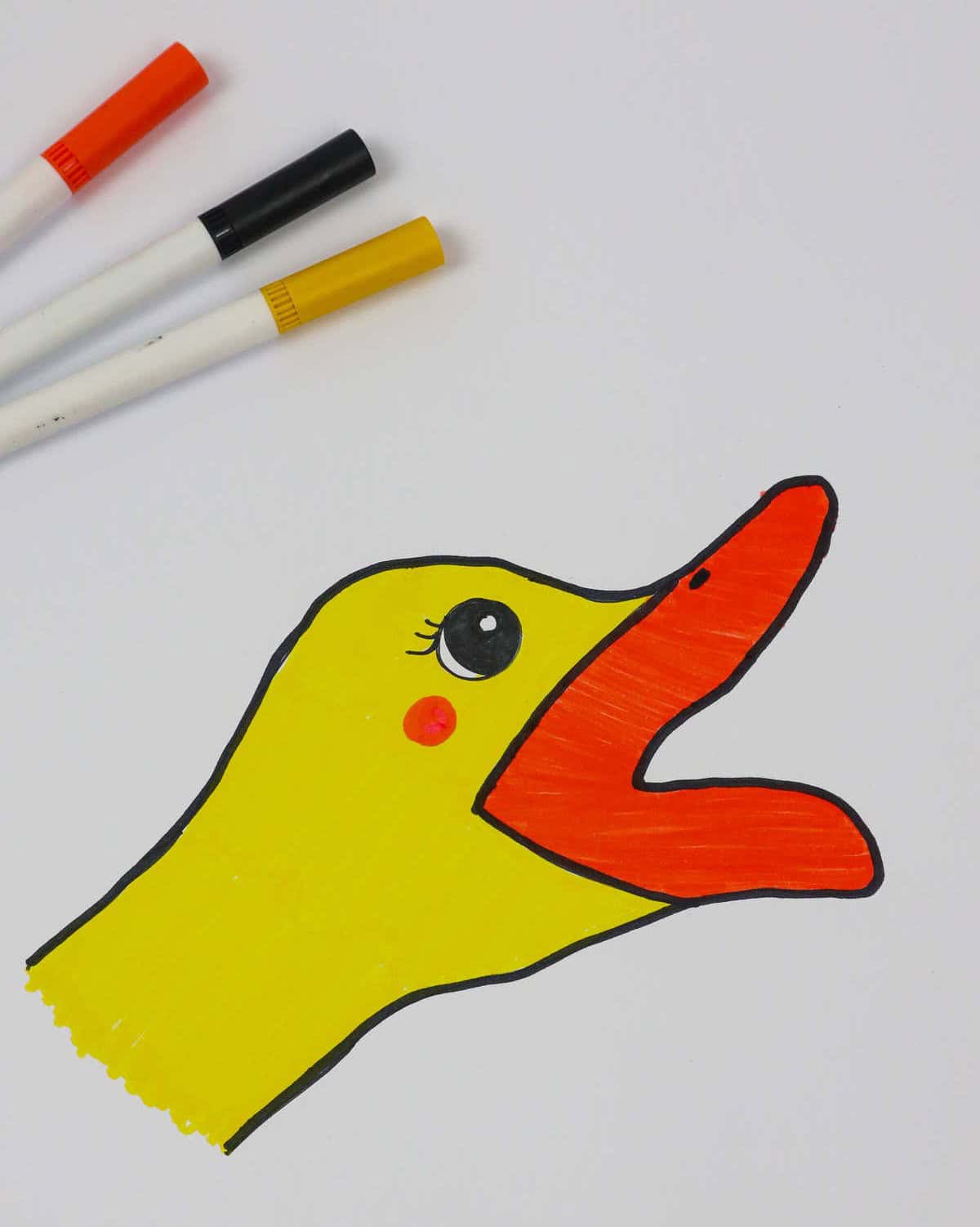 Duck