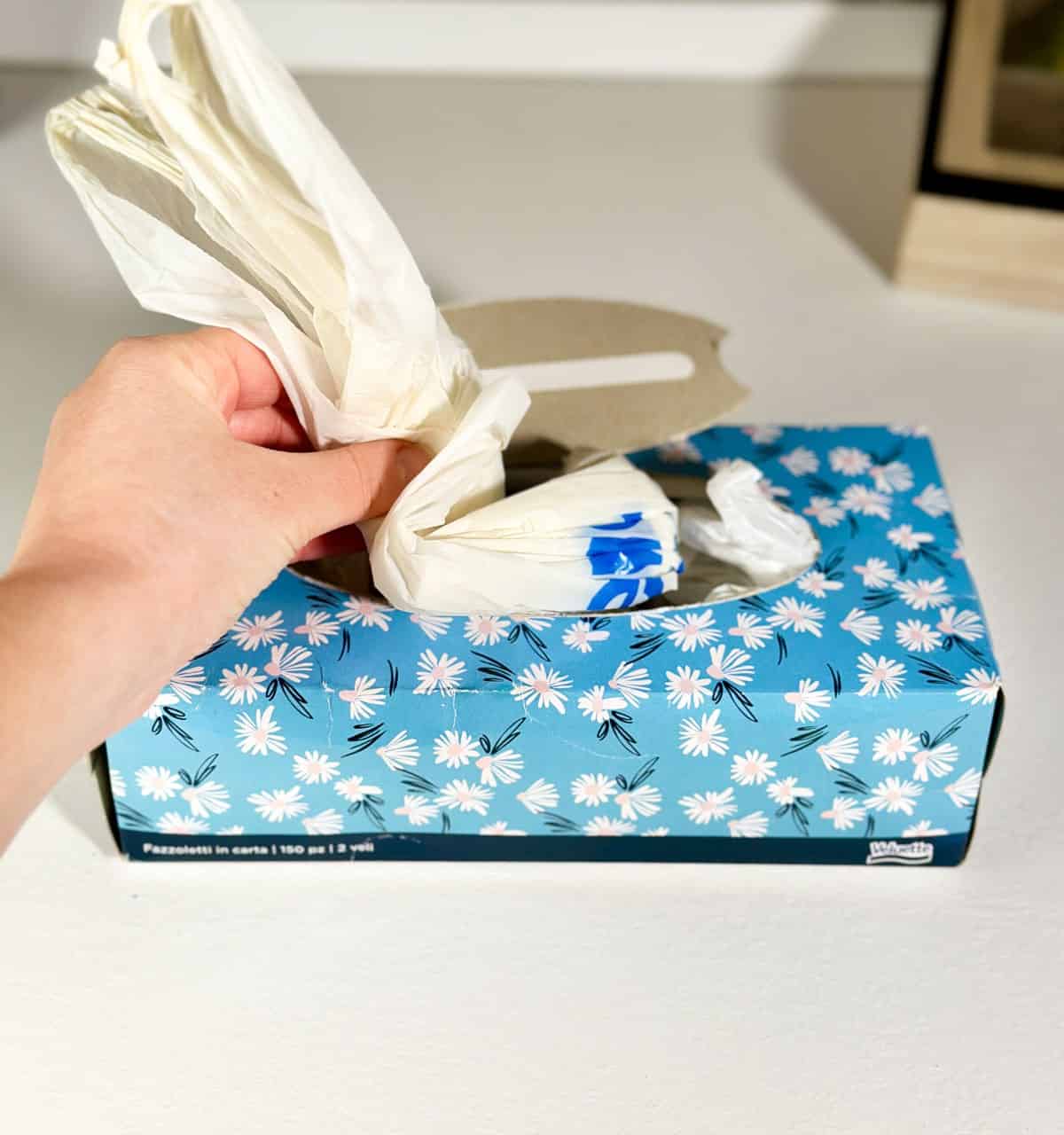 Store Grocery Bags in an Empty Tissue Box