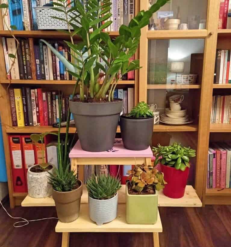 Potted Plant Stand