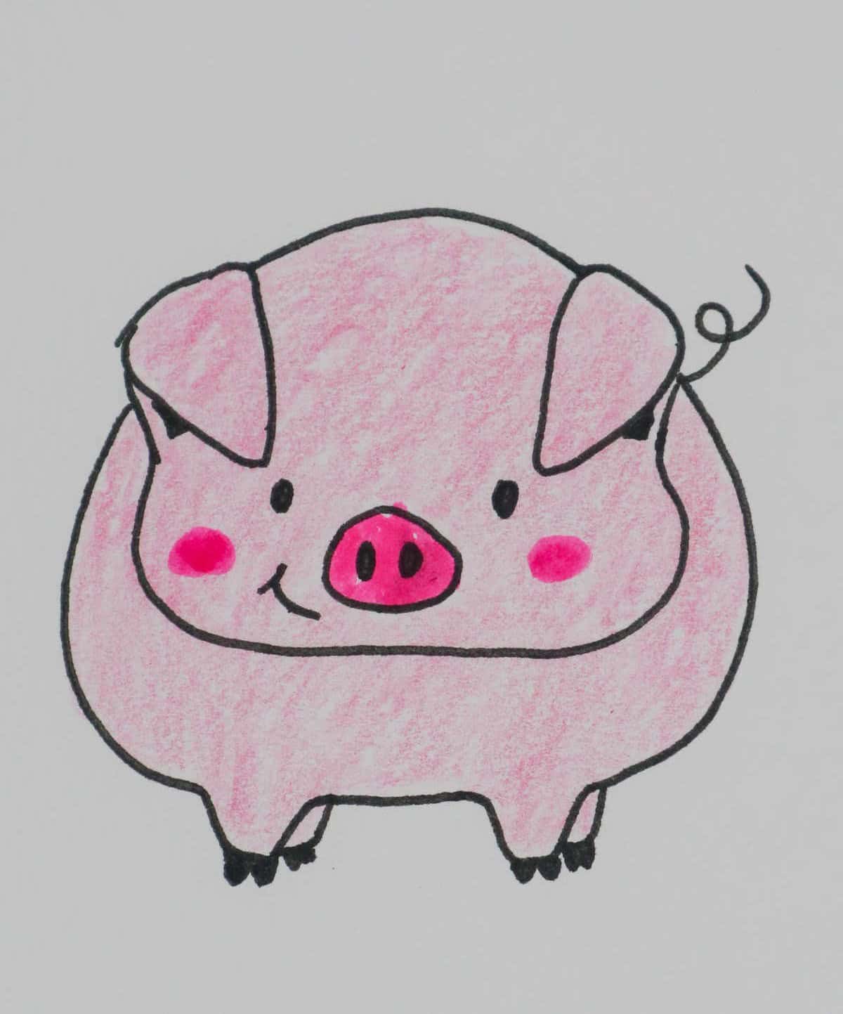 Pig