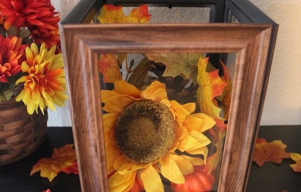 Rustic Display Lantern