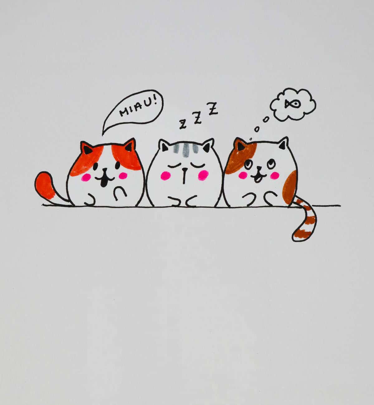 Cat Trio