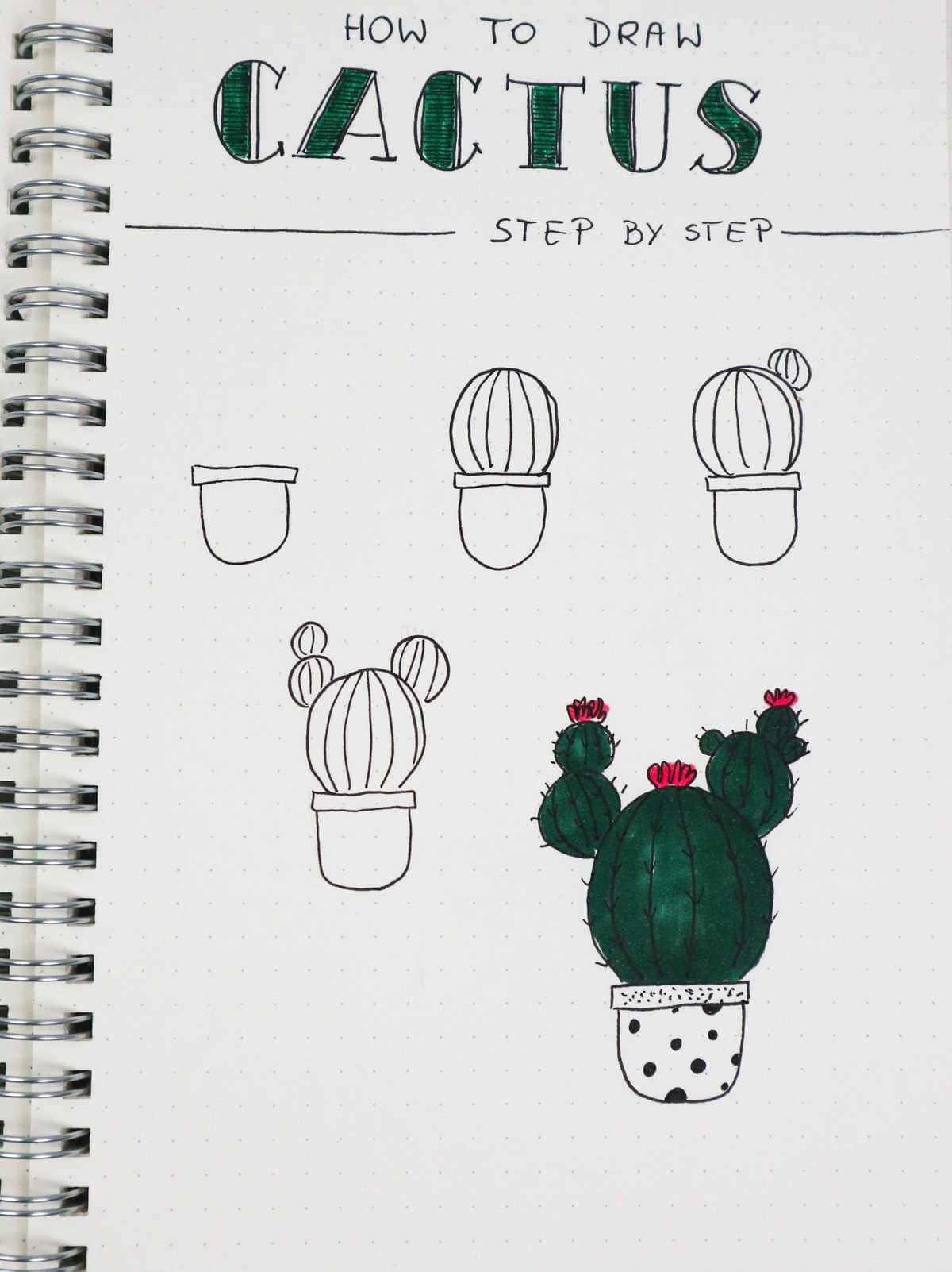 Cactus Step-by-step