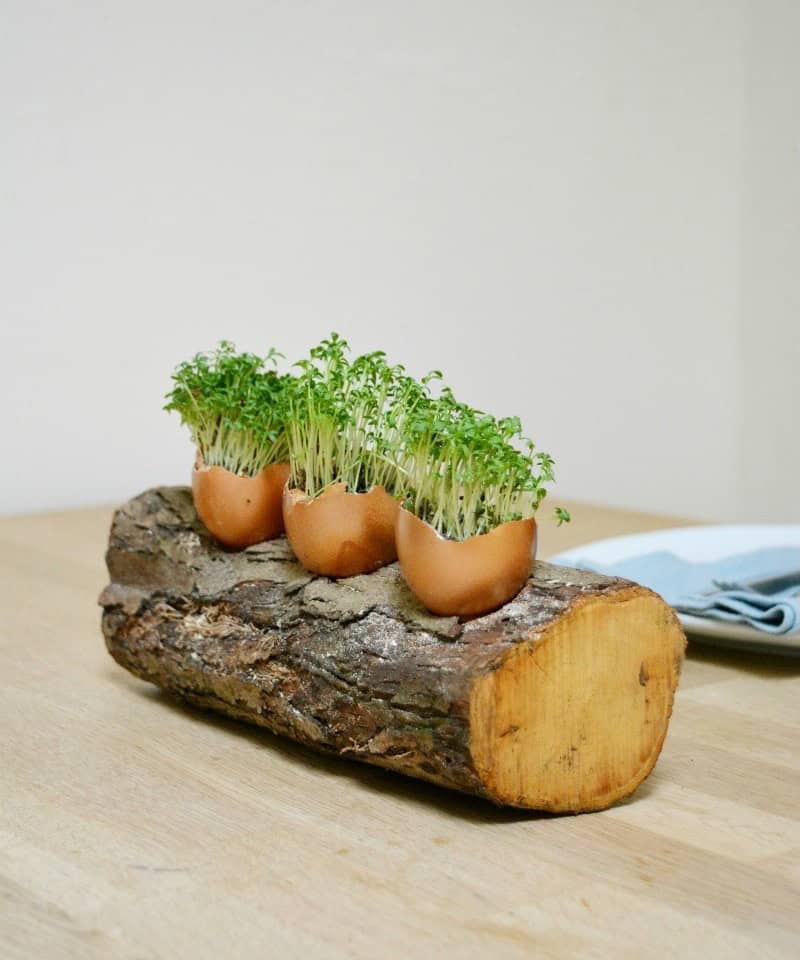 Table Decoration with Egg Shells