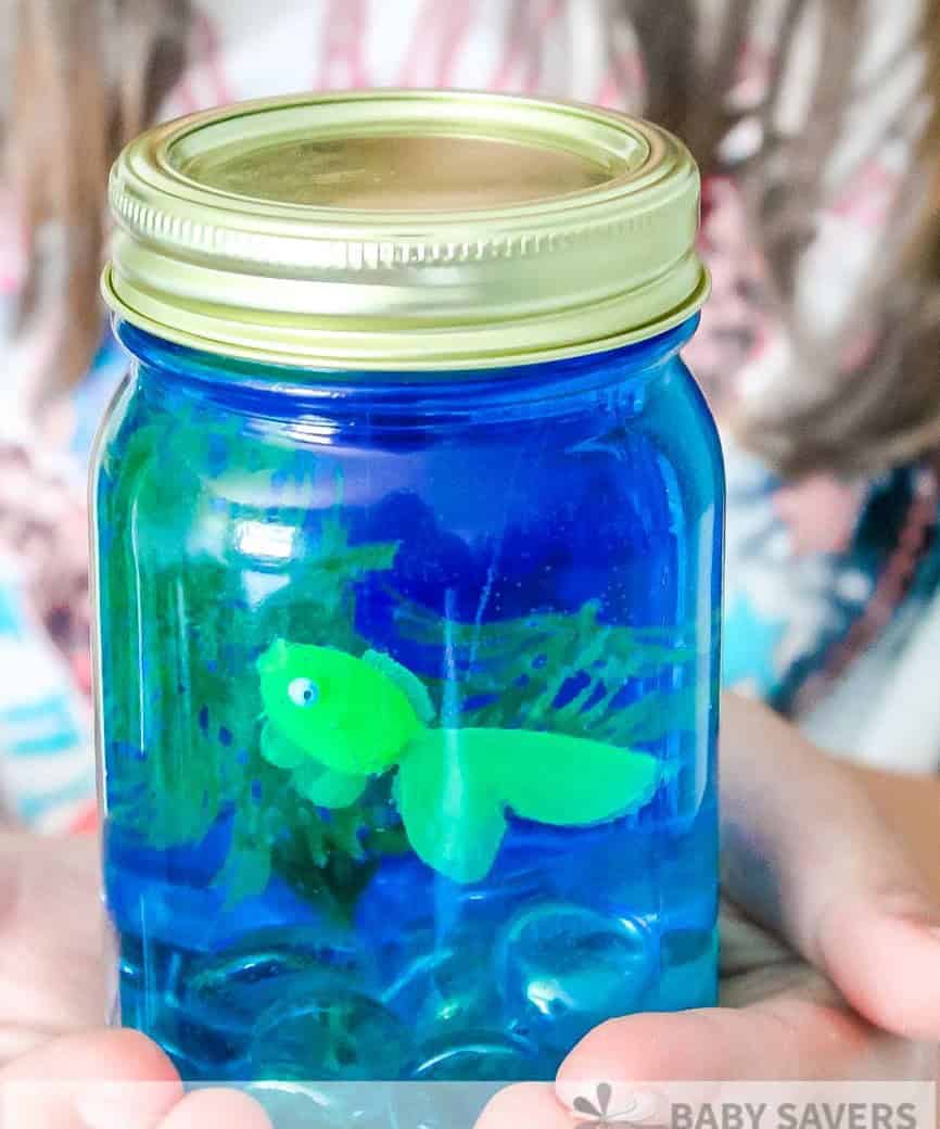 Mason Jar Aquarium