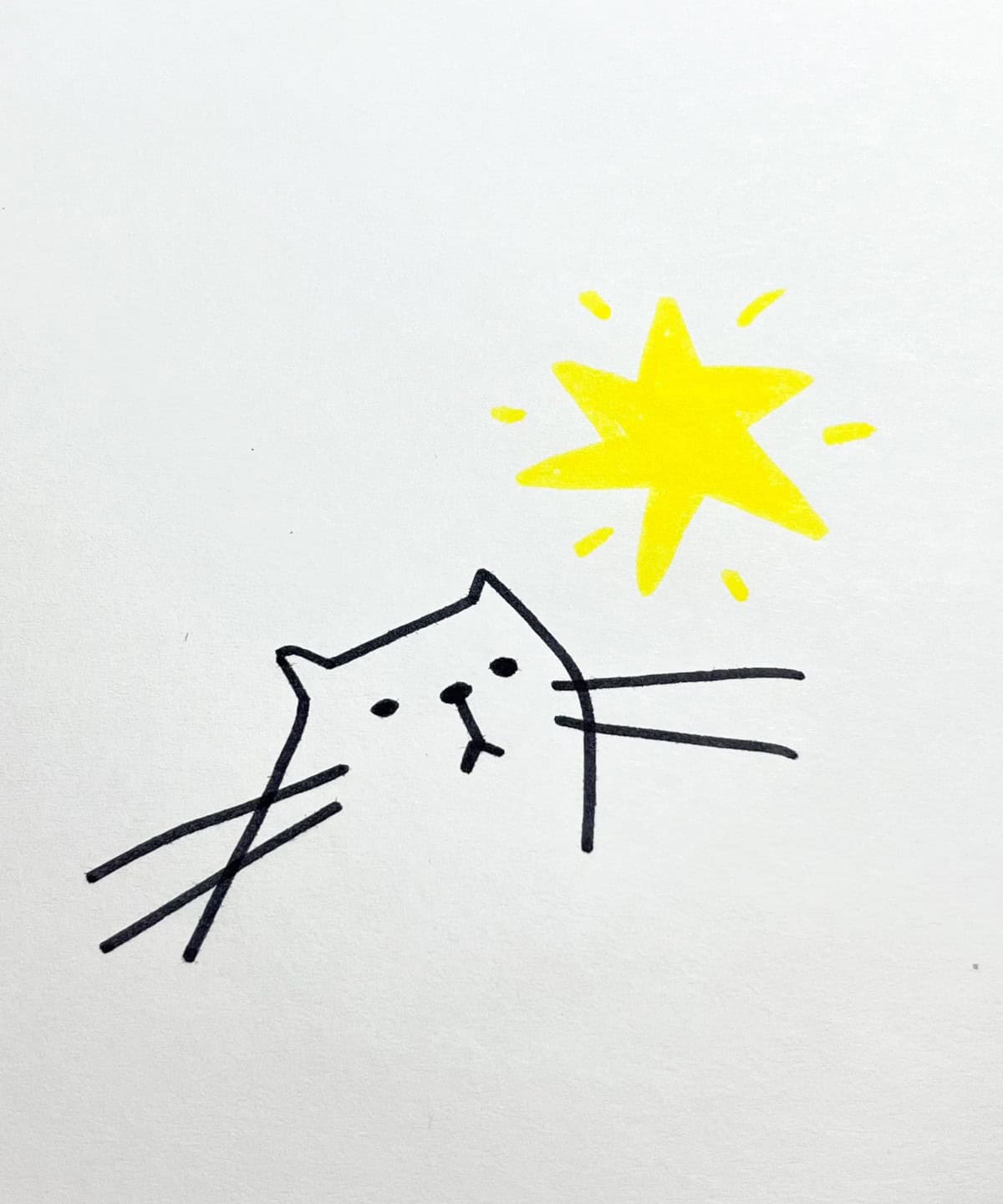 Stargazing Cat