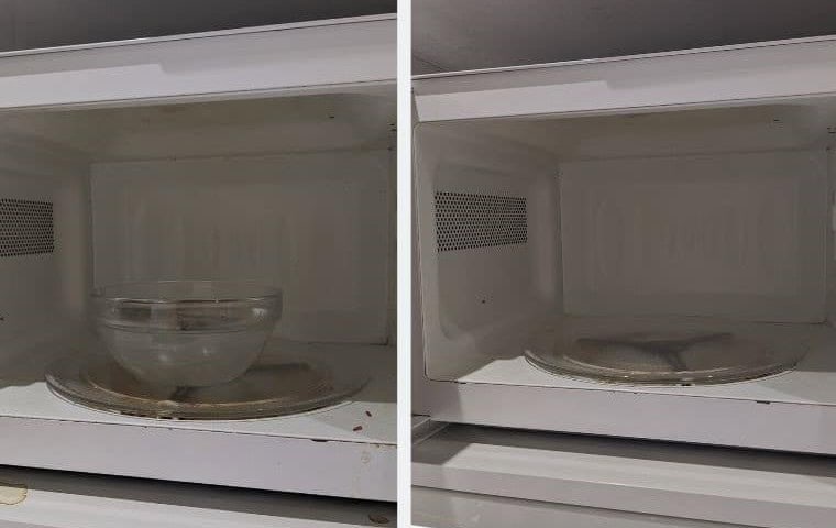 Microwave Magic