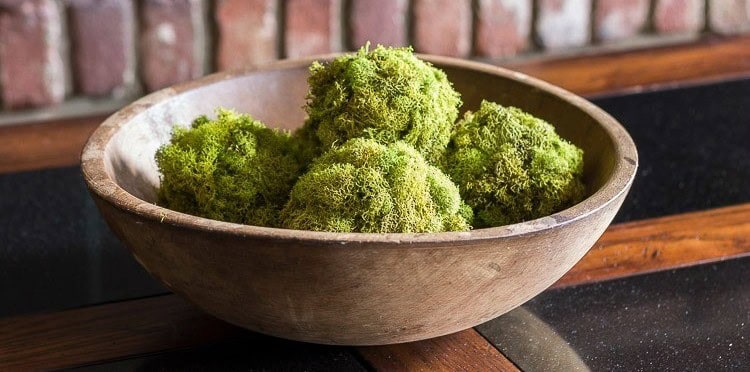 DIY Moss Balls